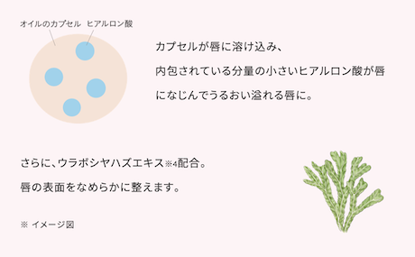 ヒアルロン酸内包カプセル