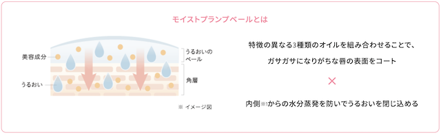 モイストプランプベール